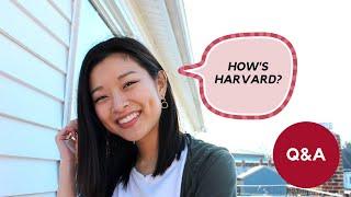 Q&A | how's harvard? grad school feels | Harvard Graduate School of Education TEP / TTL