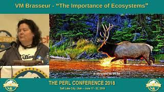 VM Brasseur - "Importance of an Ecosystem"