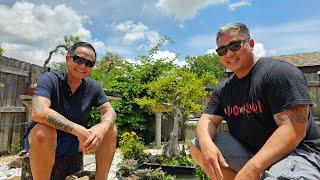 The Bonsai Connection and a Florida Bonsai Garden visit with Bang