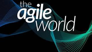 #19 Agile marketing