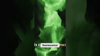 Glowing Rocks: Unveiling the Magic of Fluorescence!