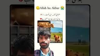 Maan or bacha  #ytshorts #shotrs