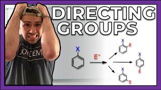 Directing Groups--Exploring Ortho/Para and Meta Directors