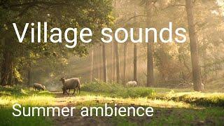 Relaxing village sounds. Summer morning ambience. Village ambience