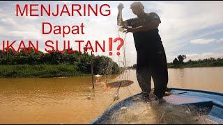 MENJARING DAPAT IKAN SULTAN⁉️ Tahan TAJUR Dan Menjaring Ikan..Rezeki ikan toman ikan jelawat