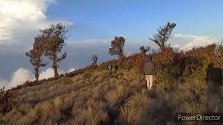 Explore Situs Kepanditan Pasar Dieng Gunung Lawu