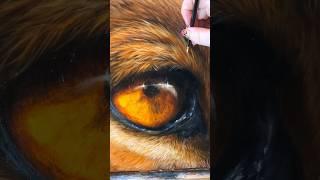 Adding a magical juicy glaze layer to a lion eye 