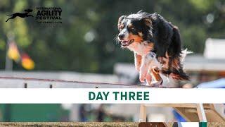 The Kennel Club International Agility Festival 2024 | Day 3 Main Ring