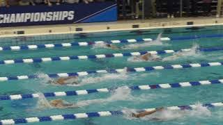 800 Free Relay