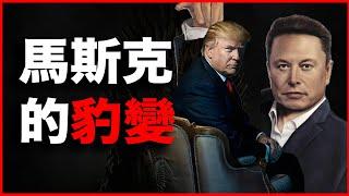 为什么说：美国，正在发生一场“信息政变”？又为什么说特朗普的第一对手，是马斯克？