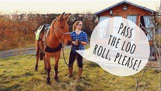 Pass The Loo Roll: mule version