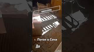https://dezinfectpro.ru/ устранения потопа в Сочи #потоп #плесень #нанодез