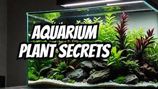 Top 21 Low Light Plants For Aquariums 