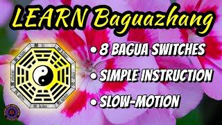 Baguazhang for Beginners: 8 Bagua Switches with simple step-by-step instruction | Pakua Chang