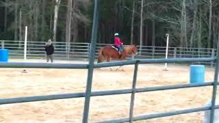 Tilden Horseback Lesson 2