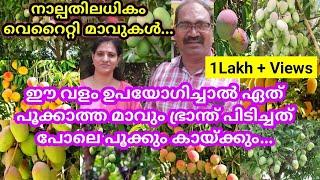 ഏത്പൂക്കാത്ത ഫലവൃക്ഷങ്ങളും ഭ്രാന്ത് പിടിച്ചപോലെ പൂക്കാനും കായ്ക്കാനും വീട്ടിലുള്ള  ഈ 4 സാധനങ്ങൾ മതി