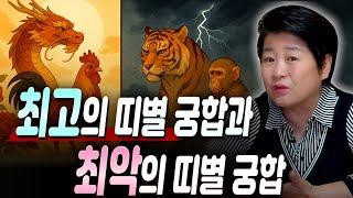 99.9% 이혼하게 되는 띠 궁합은?! / 최고의 띠별 궁합 vs 최악의 띠별 궁합