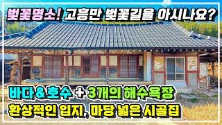 시골집의 로망! 청정바다와 호수. 벚꽃 명소에 자리한 마당 넓고 뼈대 좋은 바닷가 시골집 매매소식.