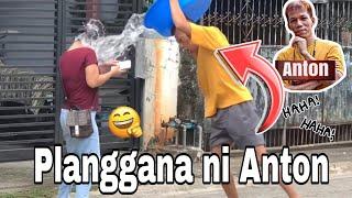 Planggana Prank  Anton Video