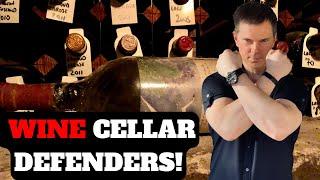 Wine CELLAR DEFENDERS: 12 Top Bordeaux Second Wines!