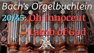 J.S. Bach's "O Lamm Gottes, unschuldig" (BWV 618) + English Translation