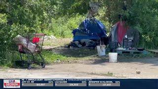 Downtown Biloxi businesses’ homeless complaints overshadow tree removal hearing