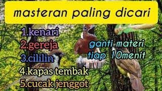 masteran paling dicari(kenari, gereja, cililin, kapas tembak, cucak jenggot)