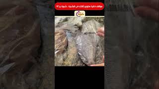 مواقف ذكية هترجع ثقتك فى البشرية ..  شوية ج146 #summeronshorts