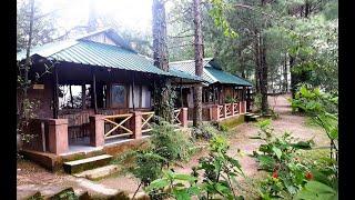 Resort In Shoghi | Resort In Shimla | Resort In Himachal Pradesh