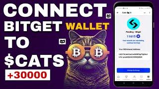 Cats  AIRDROP, SNAPSHOT & ALLOCATION - Connect WALLET NOW || Listing Date