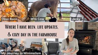 HUGE homestead UPDATES: milk cow, decluttering & minimalism + make jerky with ground meat