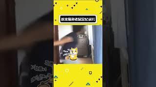 不是哥们，墙没事吧#娱乐评论大赏#shorts