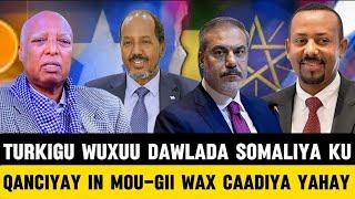 TURKEYGA OO LA SHEEGAY IN UU ETHIOPIA KU GARAB ISTAAGAY MOU-GII AY SOMALILAND LA GASHAY..PROF KAYNAN