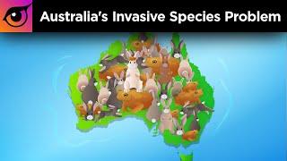 Australia's Invasive Species Problem