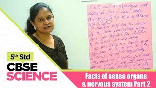 5th Std CBSE Science Syllabus | Facts of sense organs & nervous system Part 2 /CBSE Syllabus Part 54