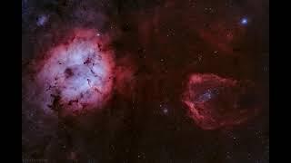 [ASTRO] Elephant, Bat, and Squid - July 23, 2021