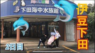 【下田海中水族館】【バリアフリー】水族館行ったり…愚痴ったり。でも美味しいディナーで癒された