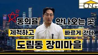 동의율 안나오는곳 제척하고 빠르게 간다! 도림동 장미마을