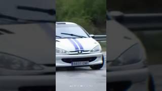 Rally visto desde fuera #rally #rallye #rallycar #rallybauti #peugeot #peugeot206 #206 #fyp #viral