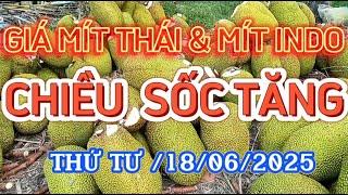 GIÁ MÍT THÁI & MÍT INDO RUỘT ĐỎ CHIỀU NGÀY 18 /06/2025| Giải Trí Miền Tây