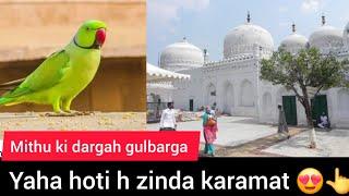 Gulbarga ki karamati hafiz e kuran tote ki dargah ki sakkar khane se gunge bacho ko milti h zuban 