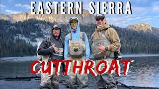 Eastern Sierra CUTTHROAT TROUT on Dry Flies & Get Made Minnows