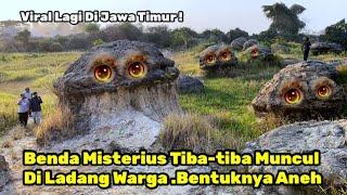 Gempar..!! Benda Misterius Aneh Muncul Di Gresik Mirip Kura Raksasa