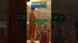 [ 마음의 자비 ] 부처님 설법 이야기 | 불교영상 | 동기부여 | 공감글 | 감동글 | 치유 | #부처님말씀 #부처님설법 # 부처님가르침