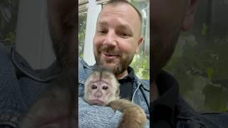 Осмотр Капуцина  Финика.