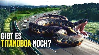 Die Größte Schlange der Erde Wurde von der Kamera Gefilmt. Ist das eine Titanoboa?