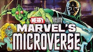 Let's talk about the Microverse