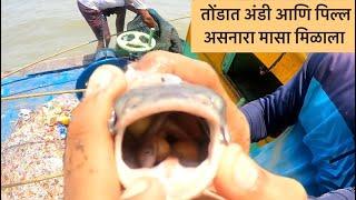 भरपूर दिवसांनी गेलो #fishing ला । Karanja Jetty | Uran Raigad Maharastra