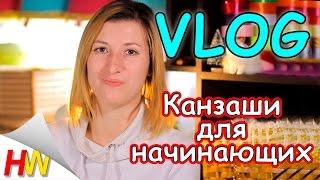 С чего начать в "Канзаши"? Канзаши для начинающих. Моя история.