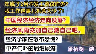 中国经济走向没落？经济风雨交加自救吧！经济学家散布恐慌？中产门屁滚尿流。年底了2月不发工资，找工作这事儿太难了。提心吊胆触目惊心该咋办？